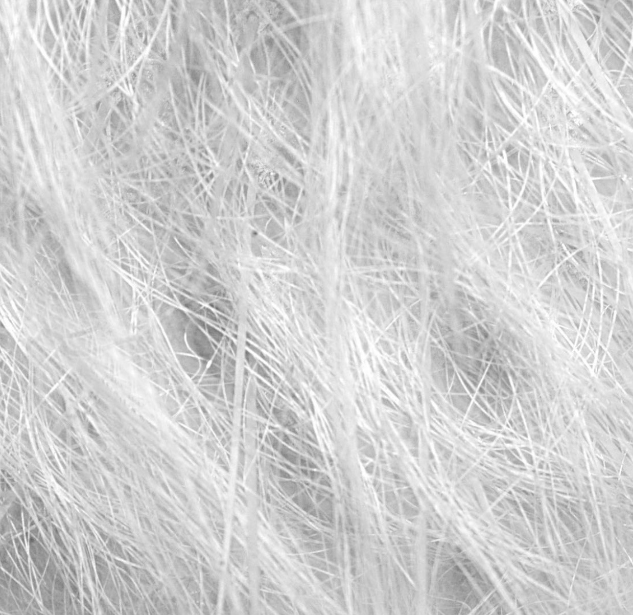 Analyse de fibres